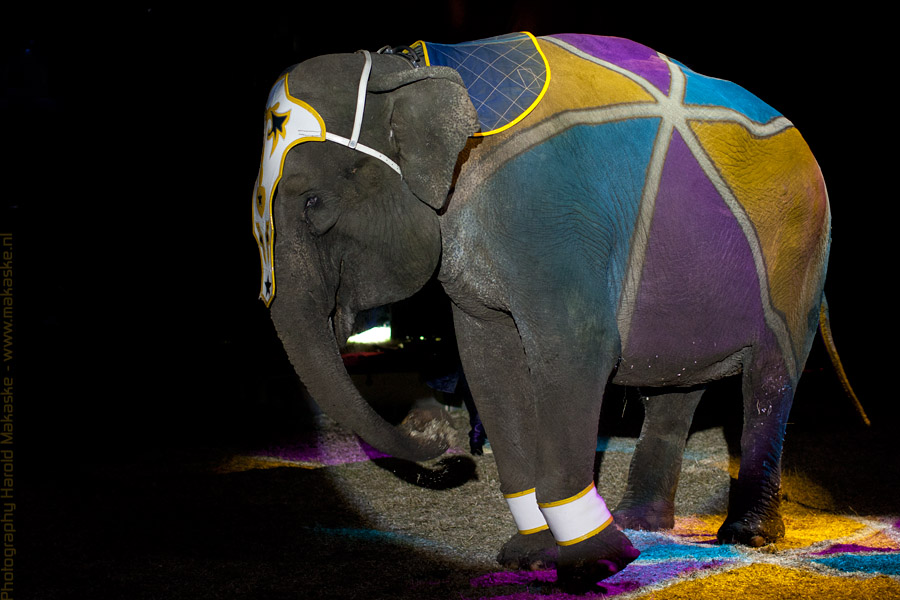 20120709-9I0X0473 copy.jpg